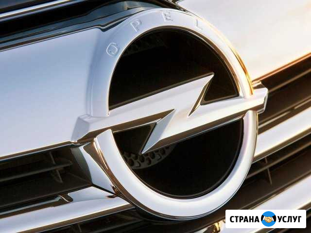 Диагностика opel Лысьва - изображение 1