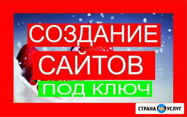 Создание сайтов и интернет-магазинов + продвижение Уфа - изображение 1