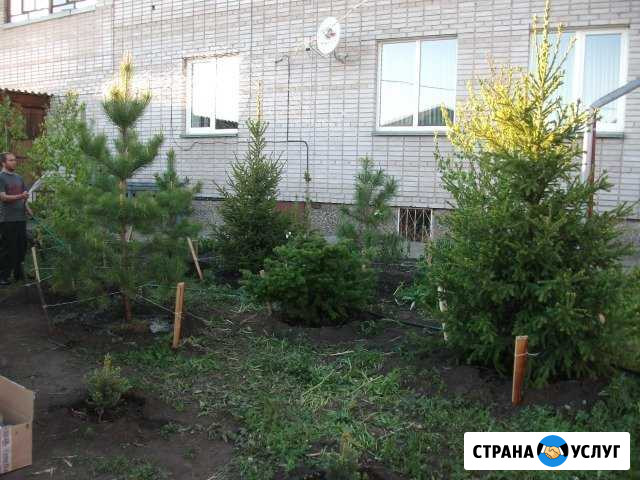 Озеленение Минусинск - изображение 1