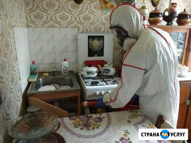 Уничтожение насекомых и грызунов Пермь - изображение 1
