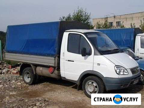 Вывоз мусора Всеволожск - изображение 1