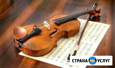 Учитель скрипки Краснодар - изображение 1