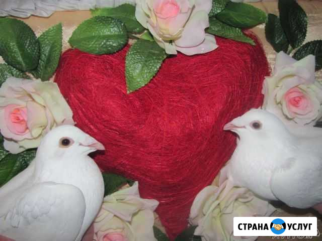 Белые голуби для свадеб Кисловодск - изображение 1