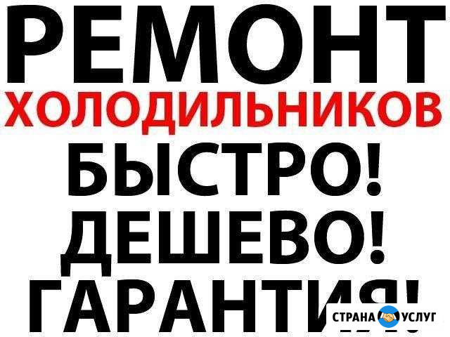 Ремонт холодильников Новомосковск - изображение 1