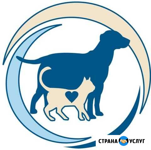 Ветеринарный врач по вызову на дом Аша - изображение 1
