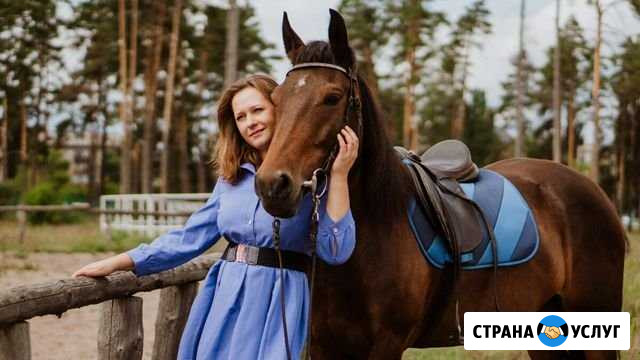 Лошадь для съёмок и фотосессий Липецк - изображение 1