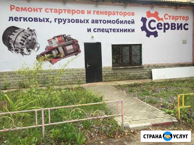Ремонт стартеров, генераторов и моторов отопителей Псков - изображение 1