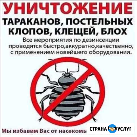 Уничтожение насекомых Железногорск - изображение 1