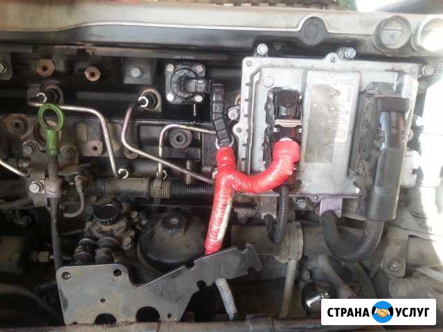 Диагностика и ремонт MAN, scania, DAF, volvo Москва - изображение 1