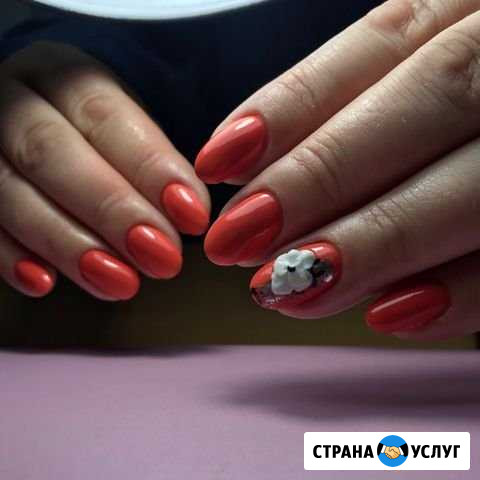 Гель-лак Вязьма - изображение 1