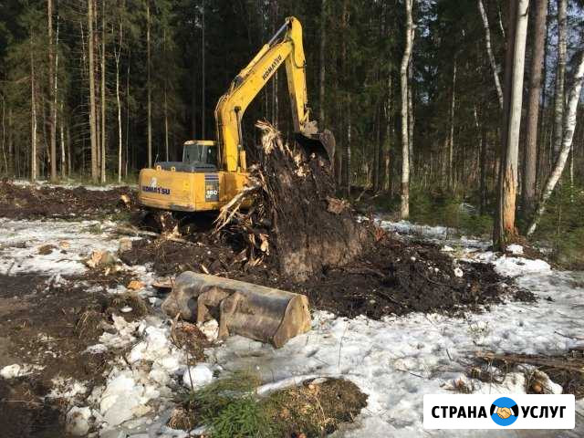 Экскаватор гус. эп. авто кран Рощино - изображение 1