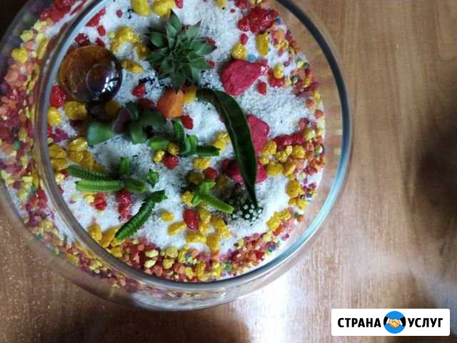 Флорариумы Пролетарский - изображение 1