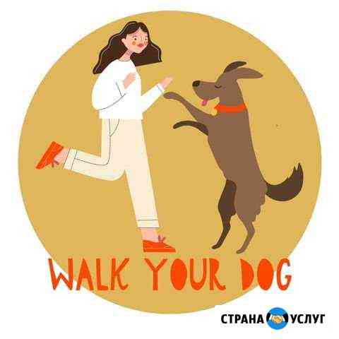 Выгул собак,дрессировка,догняня Walk Your Dog Нижний Новгород