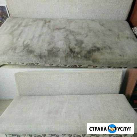 Химчистка ковров и мебели Димитровград - изображение 1