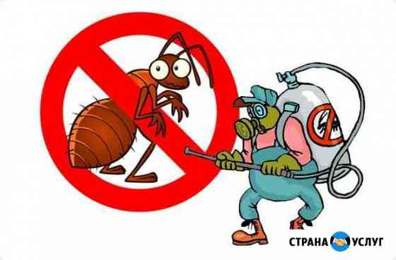 Уничтожение домашних муравьёв Челябинск