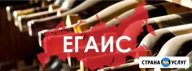 Учет и корректировка остатков в егаис Братск - изображение 1