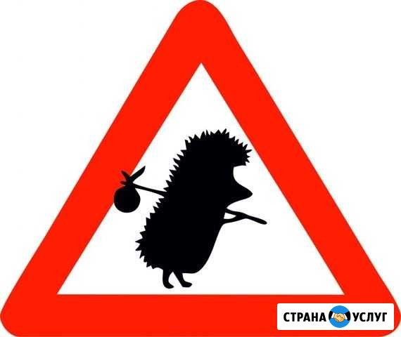 Грузоперевозки, попутные грузы Смоленск - изображение 1