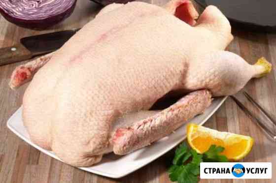 Гуси тушка охл Кущевская