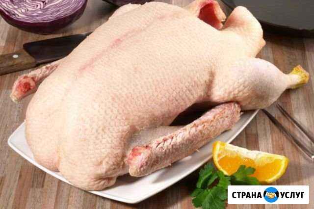 Гуси тушка охл Кущевская - изображение 1