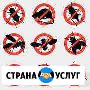 Травим тараканов,клопов,блох,ос,шершней,комаров Хабаровск