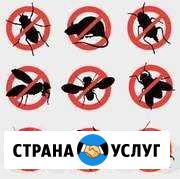 Травим тараканов,клопов,блох,ос,шершней,комаров Хабаровск - изображение 1