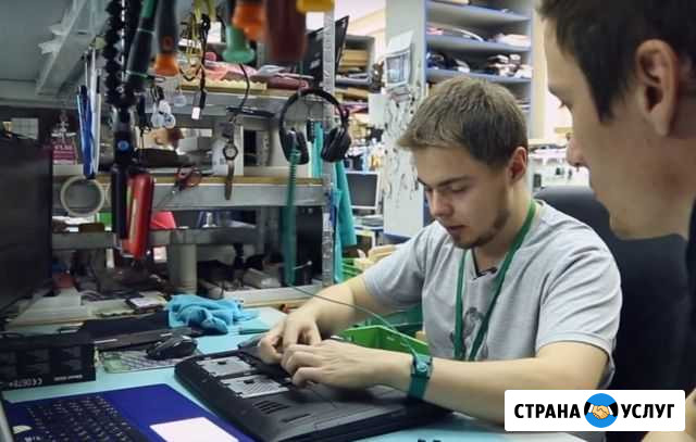 Выезд Ремонт ноутбуков, пк в Новосибирске Новосибирск - изображение 1