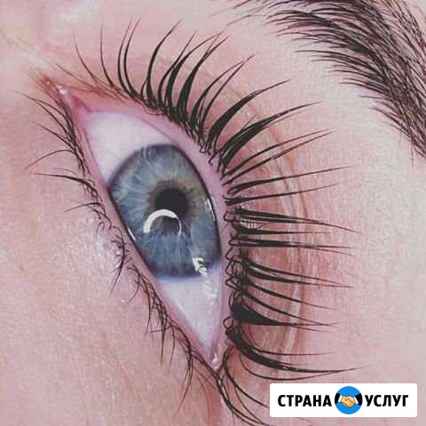 Ламинирование ресниц + ботокс Тула - изображение 1