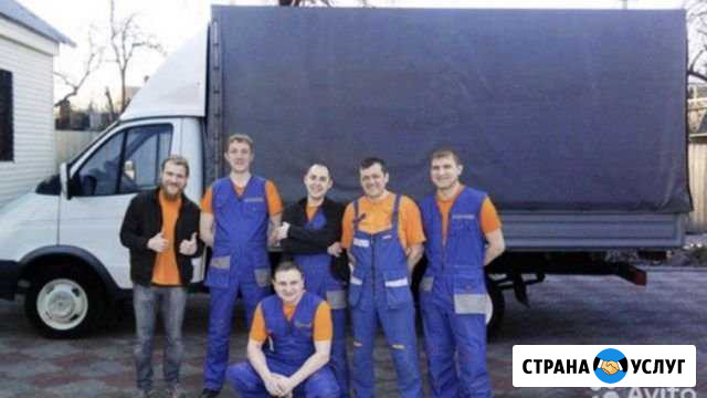 Переезд грузчики Волгоград - изображение 1