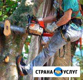 Спил деревьев, покос травы Таганрог