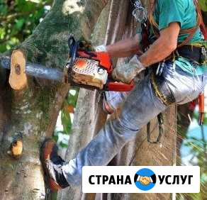 Спил деревьев, покос травы Таганрог - изображение 1