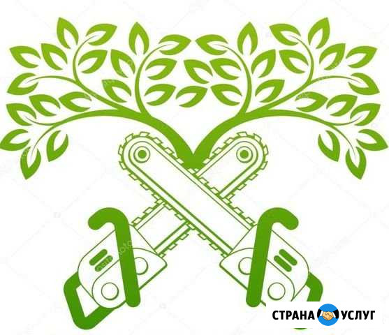 Спил деревьев Череповец - изображение 1