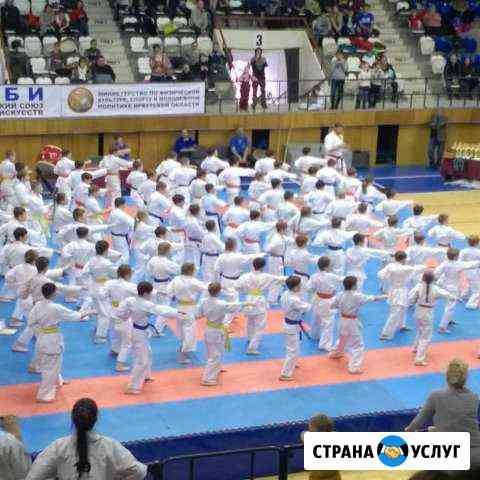Киокусинкай каратэ, единоборства Шелехов