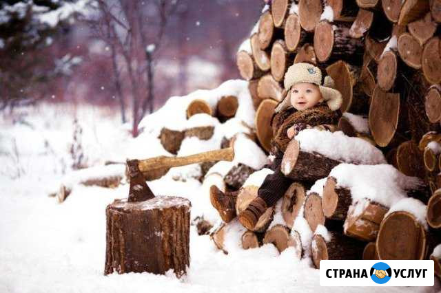 Дрова Краснокамск - изображение 1