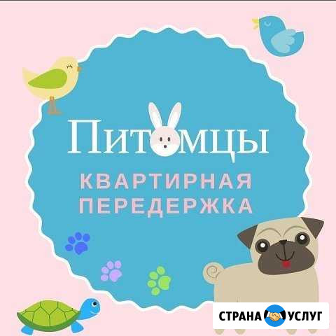 Передержка Кострома - изображение 1
