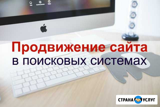 Продвижение сайтов топ-10 / SEO-оптимизация Пушкино - изображение 1