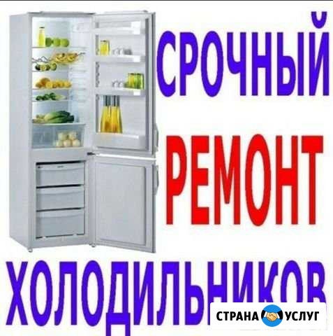 Ремонт Холодильников Саранск - изображение 1