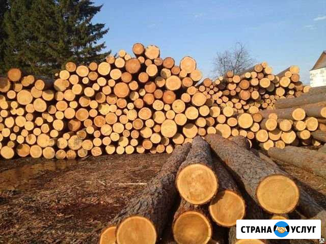 Распиловка леса Кемля - изображение 1