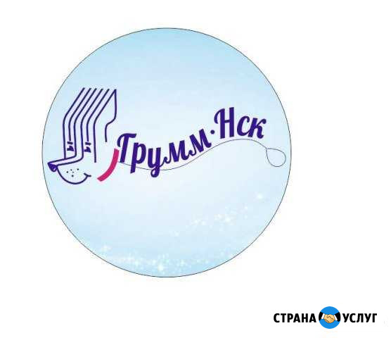 Зоосалон груммнск (стрижка собак и кошек) Новосибирск - изображение 1