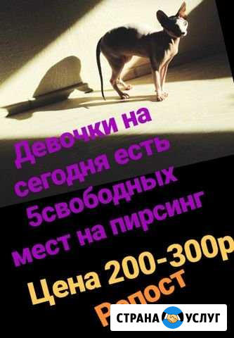 Пирсинг (только сегодня) Новосибирск - изображение 1