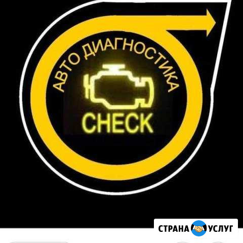 Автоэлектрик-диагност Пугачев - изображение 1