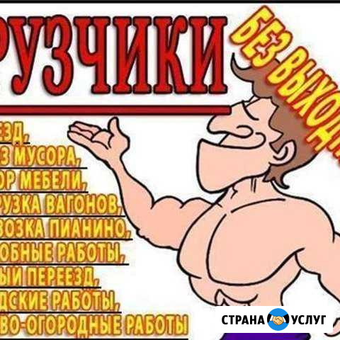 Грузчики разнорабочие Омск - изображение 1