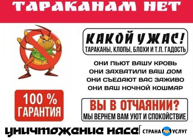 Уничтожение насекомых Братск - изображение 1