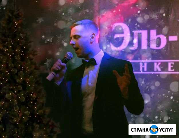 Вокалист-DJ со своей Аппаратурой Серпухов - изображение 1