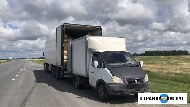 Грузоперевозки от 1,5 до 10 т Лично Новосибирск - изображение 1