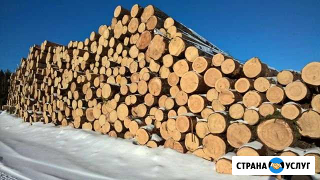 Кругляк Гатчина - изображение 1