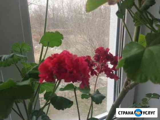 Реальная регулировка пластиковых окон и дверей (пв Хабаровск
