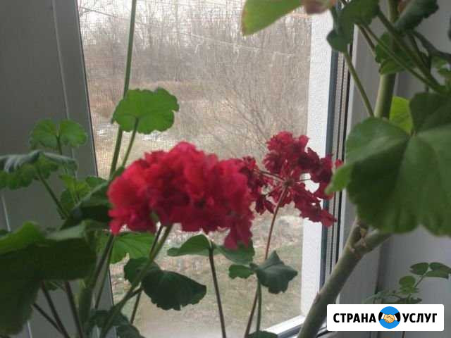 Реальная регулировка пластиковых окон и дверей (пв Хабаровск - изображение 1