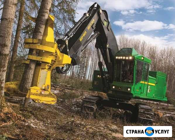 Лесозаготовка+ вывозка Богучаны - изображение 1