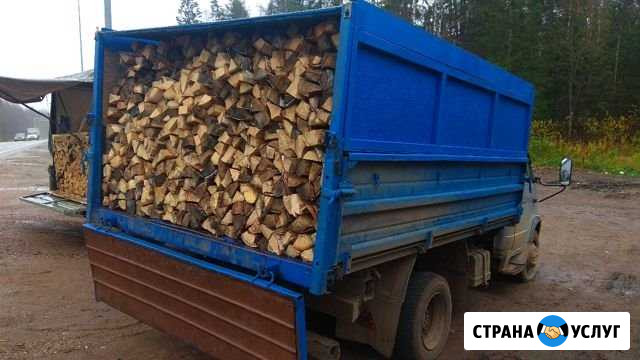 Продам дрова Кунгур - изображение 1