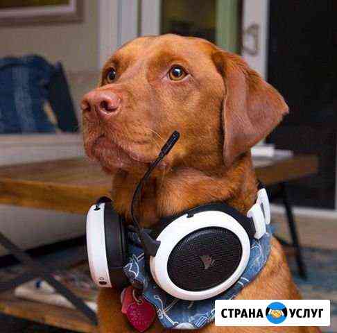 Мастер по ремонту компьютеров Краснодар
